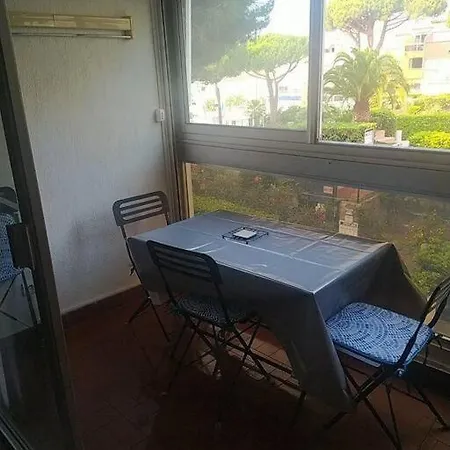 4 Couchages Avec Piscine D'ete Vue Port Apartment *