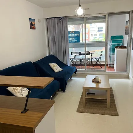 4 Couchages Avec Piscine D'ete Vue Port Apartment