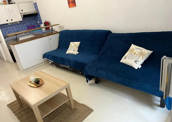 4 Couchages Avec Piscine D'ete Vue Port Apartment *